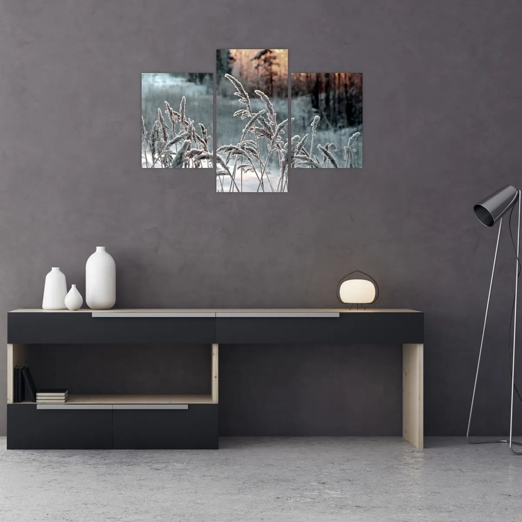 Kép - Fagyott rét (90x60 cm)