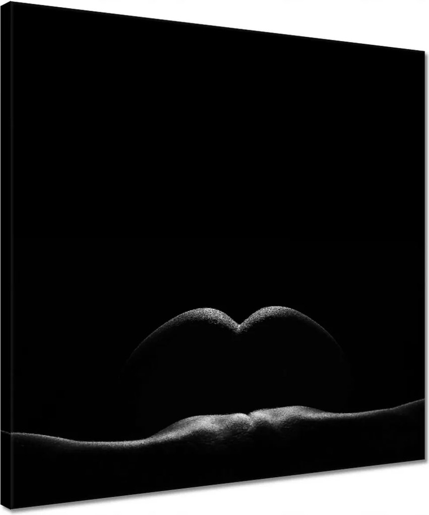 Vászonkép 40x40 Aktok Meztelenség Szerelem Fotó