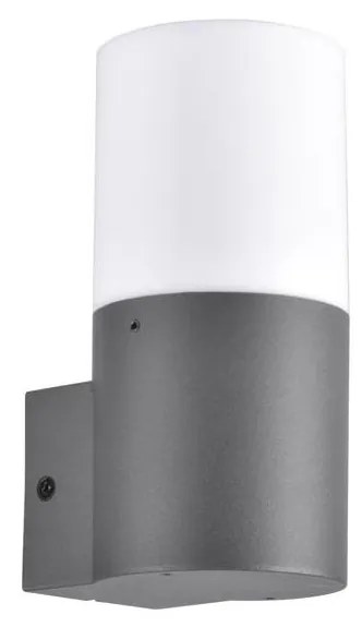 Kültéri fali lámpa DALLAS 1xE27/12W/230V IP44 antracit
