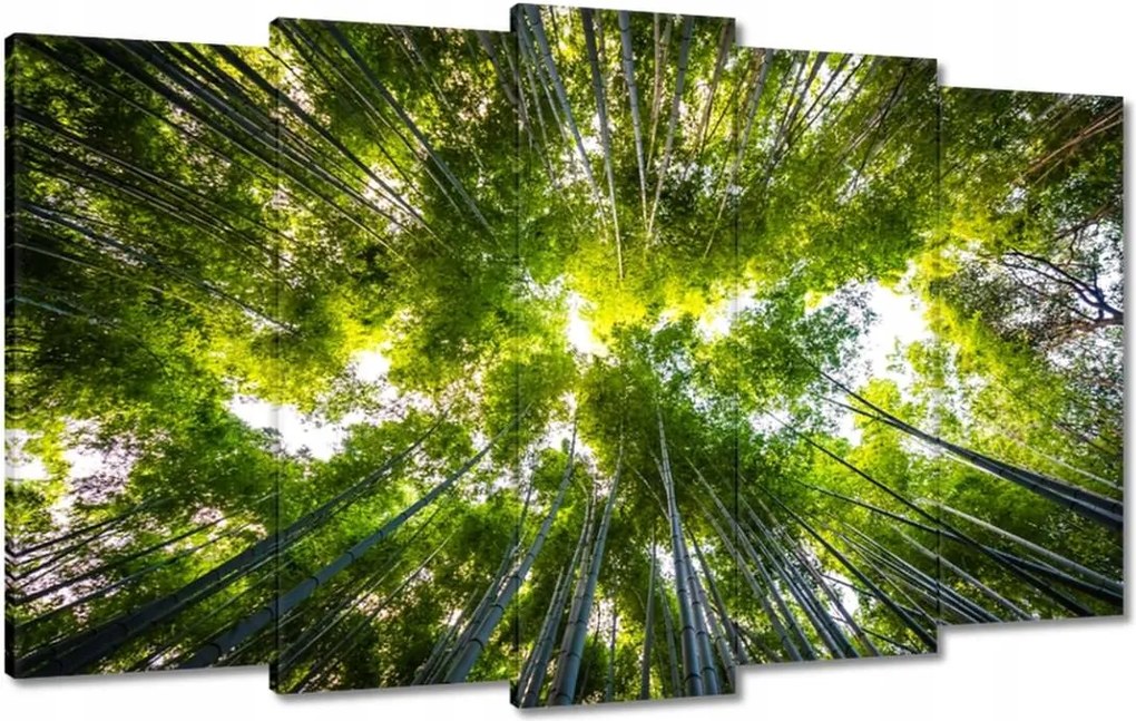 Vászonkép 100x60 Bambusz trópusi erdő