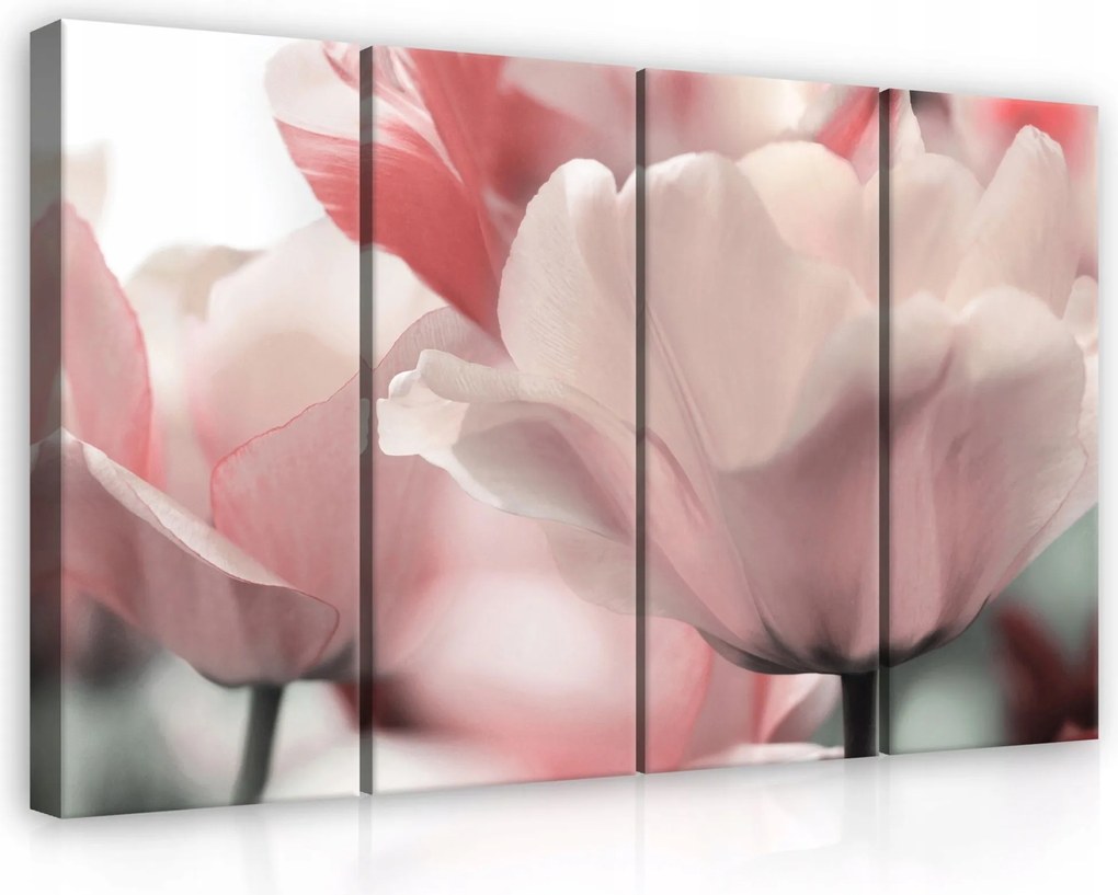 Vászonkép 120x80 Rózsaszín tulipánok tavasz finomság virágok természet nyugalom