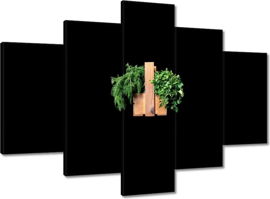 Képek 150x105 Petrezselyem Kapor gyógynövények