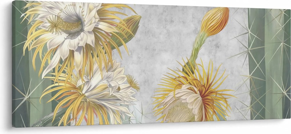 Kép - virágzó kaktuszok (120x50 cm)
