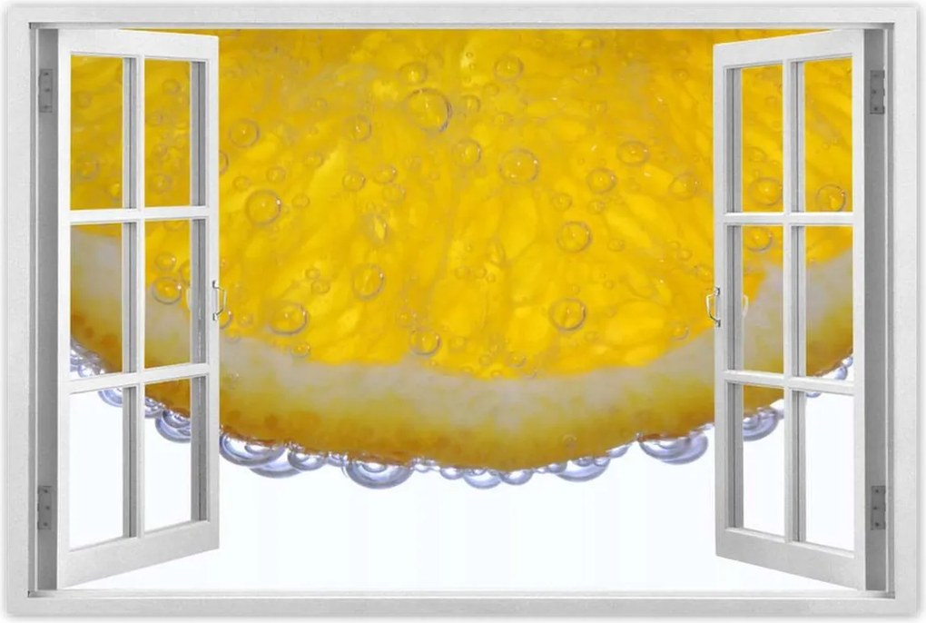 Poszterek 60x40 Citrom a vízben