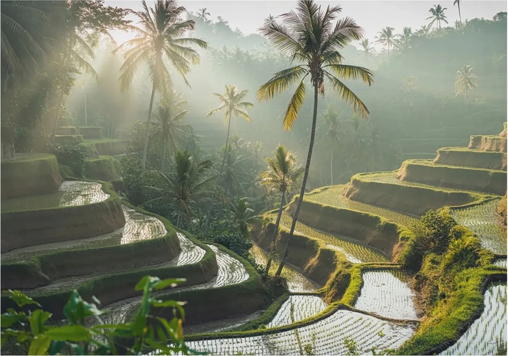 Flizelin tapéta falra Prémium paradicsom teraszok 312x219