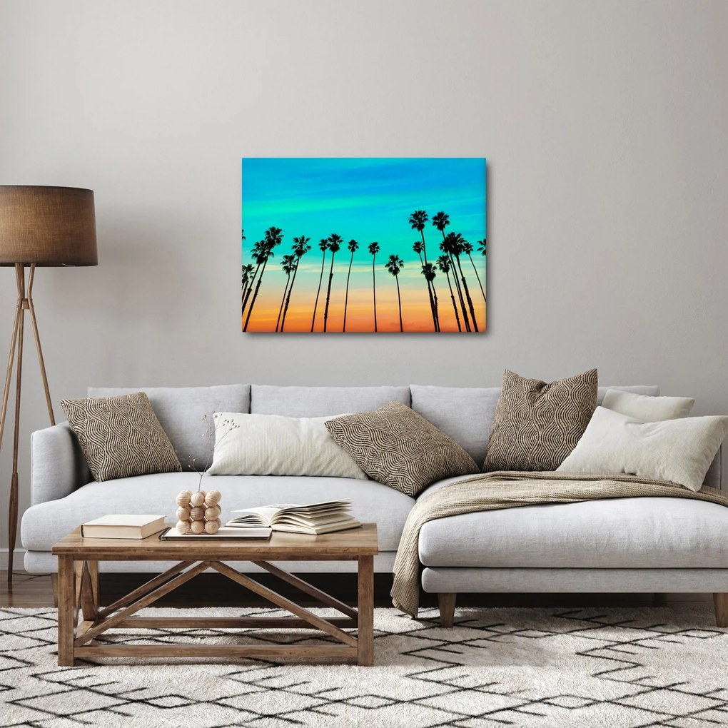 Kép - Kalifornia (70x50 cm)