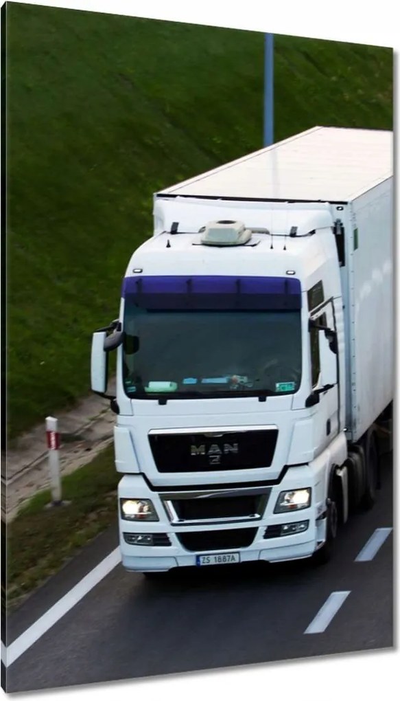 Vászonkép 80x120 Man nyergesvontató