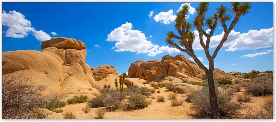 Fotótapéták flizelina 211x91 Sivatagi táj