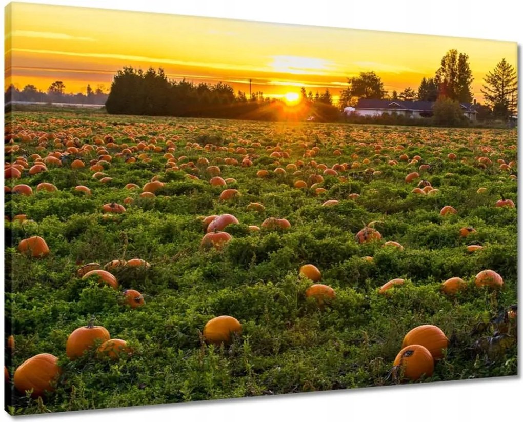 Vászonkép 70x50 Tájkép Látvány