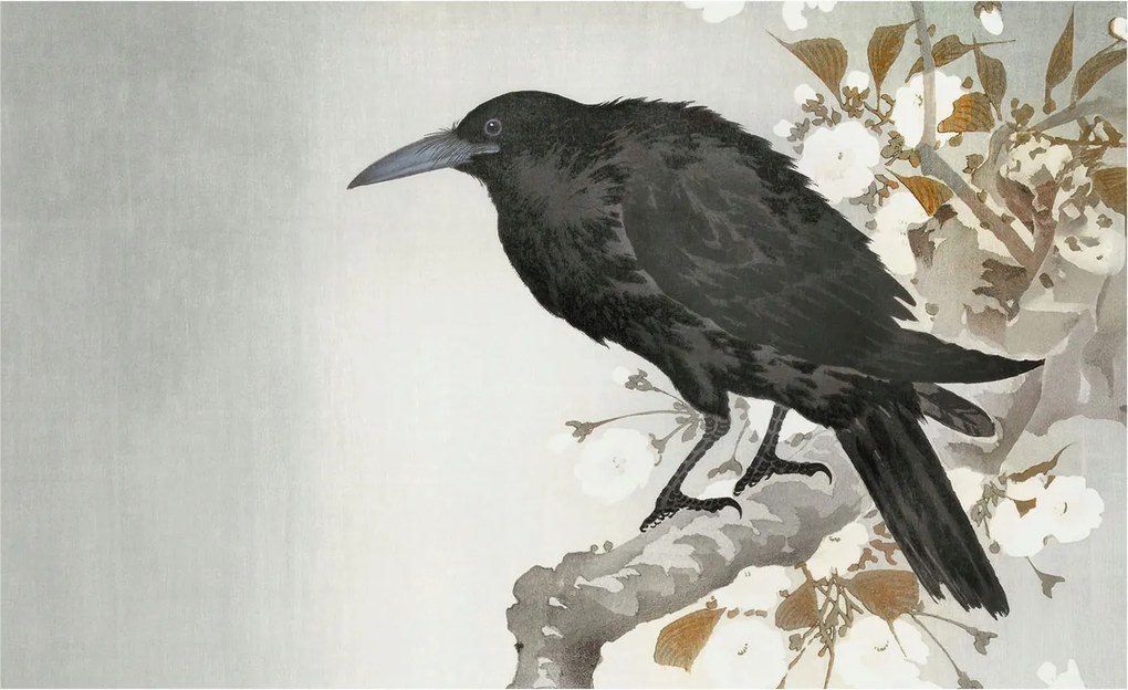 Stílusos Dekoratív Fotótapéta Flizelin Holló virágokkal 416x254 Ragasztó