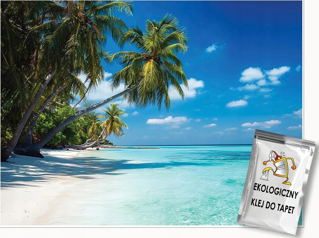 Fotótapéta Tengerpart Pálmafák Tenger Tájkép Falra Hálószoba Nappali 250x175