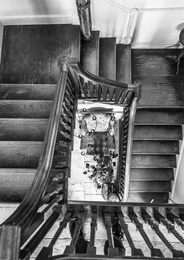 Poszter 42x59,4cm Fa lépcső a házban, Assaf Frank