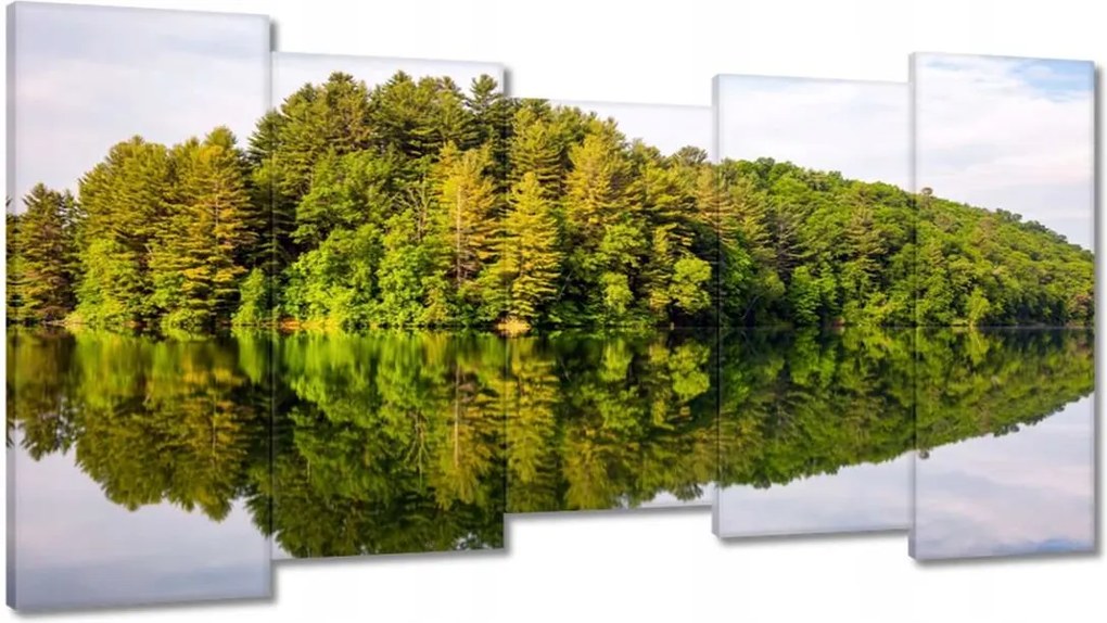Vászonkép 150x80 Erdő Tó Felhők