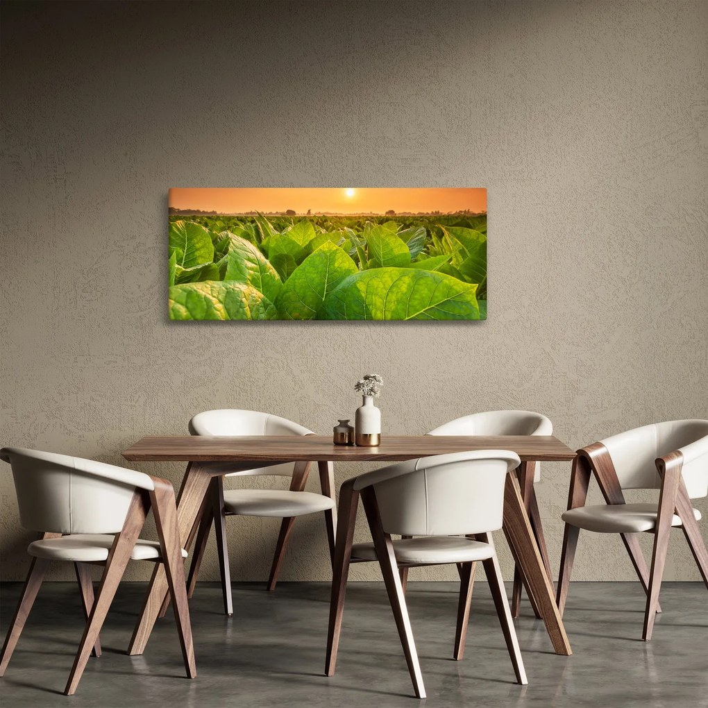 Kép - Mező (120x50 cm)