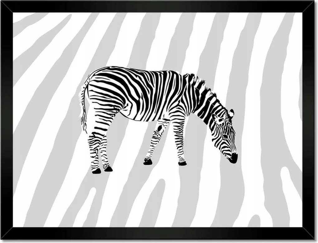 Poszterek keretben 40x30 Zebra csíkos
