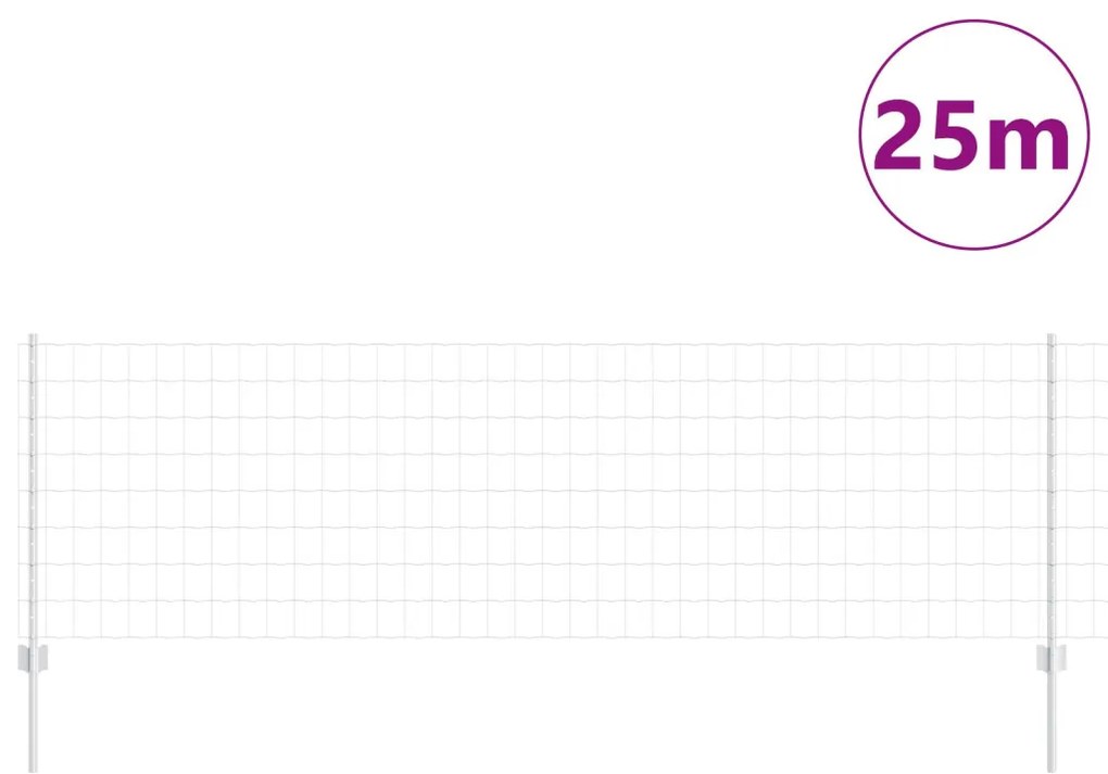 Euro Kerítés Készlet 2 db Galvanizált acél 25 x 0.8 m Tartós