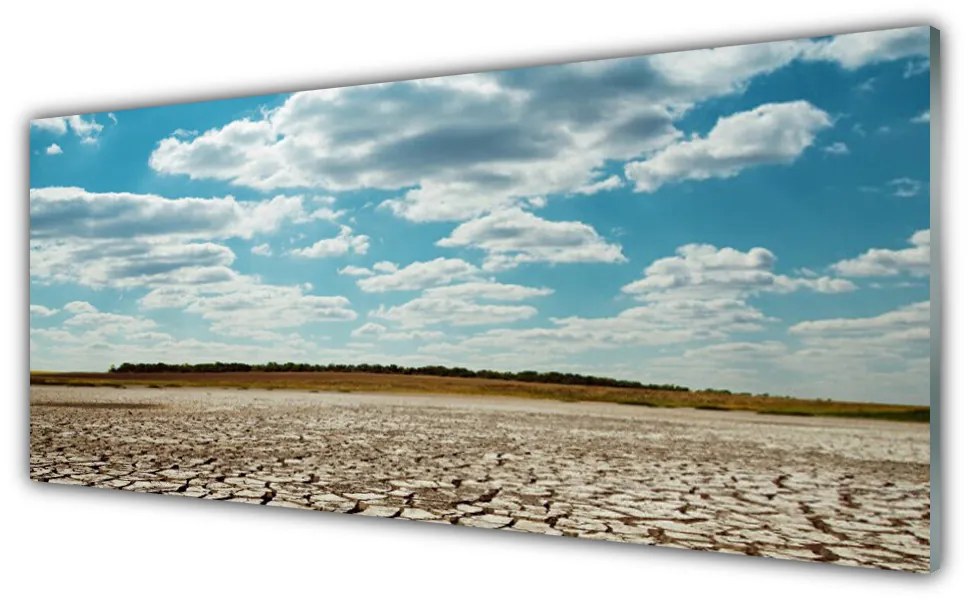 Üvegkép falra Fekvő sivatagi homok 120x60cm