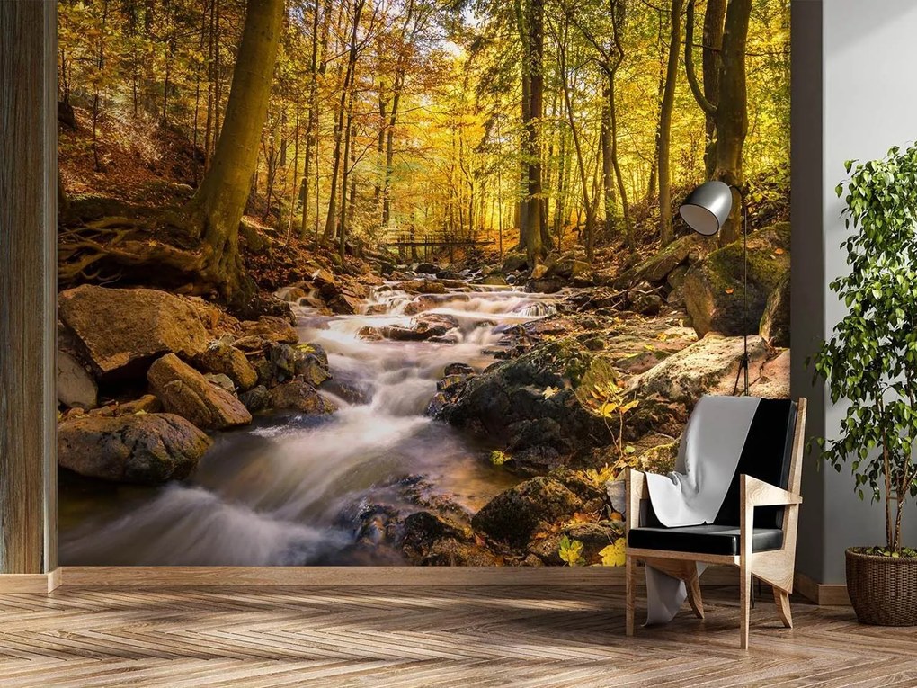 Gario Fotótapéta Erdei patak osszel Anyag: Vlies, Méret: 150 x 105 cm