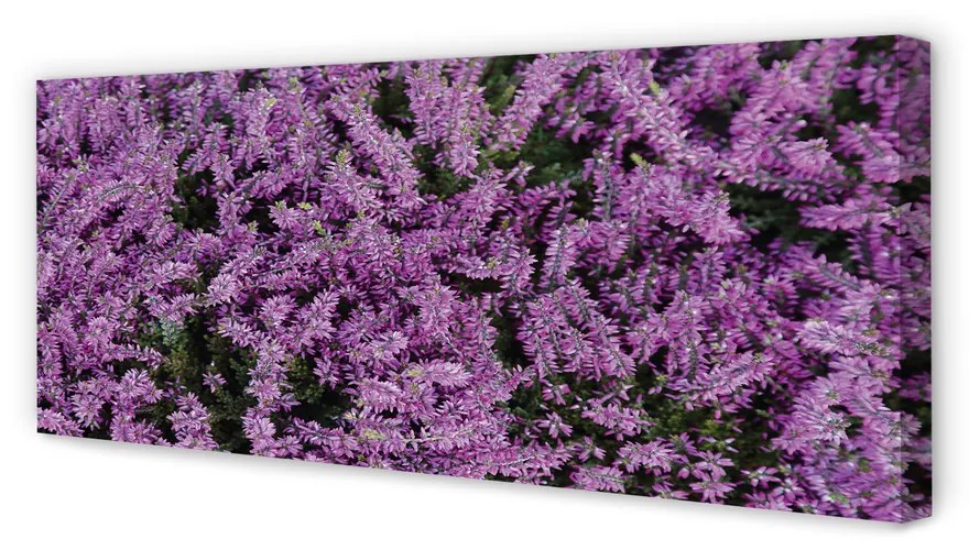 Canvas képek lila virágok 140x70 cm