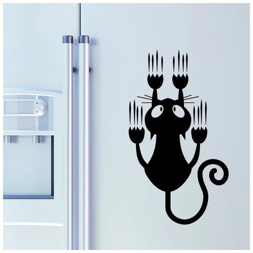 Sliding Cat falmatrica - Ambiance