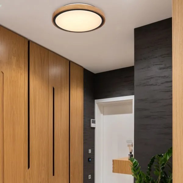 Globo 41764-12 - BRUNO LED mennyezeti lámpa 12W, 307 mm, 3000-6000K