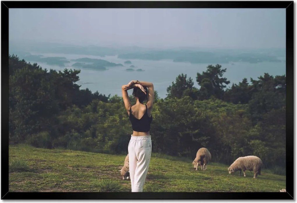 Poszterek keretben 60x40 Juh legeltetés Bárányok
