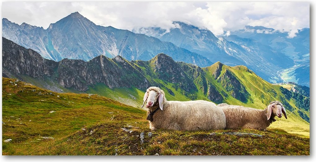 Konyhai panel Bárányok az Alpokban 140x70 cm Ragasztó