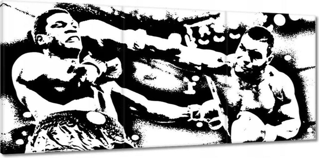 Vászonkép 150x70 Mike Tyson Ökölvívás Harc