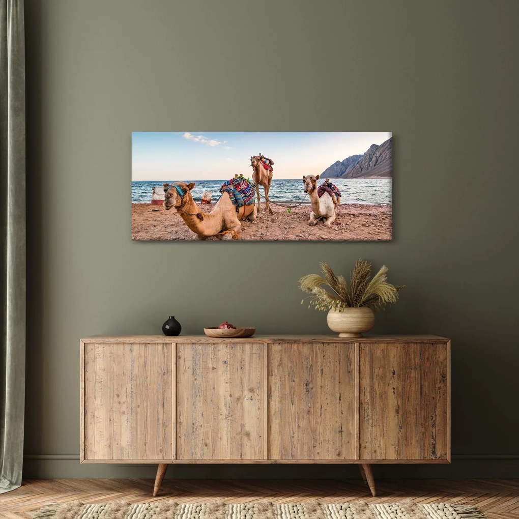 A tevék képe (120x50 cm)