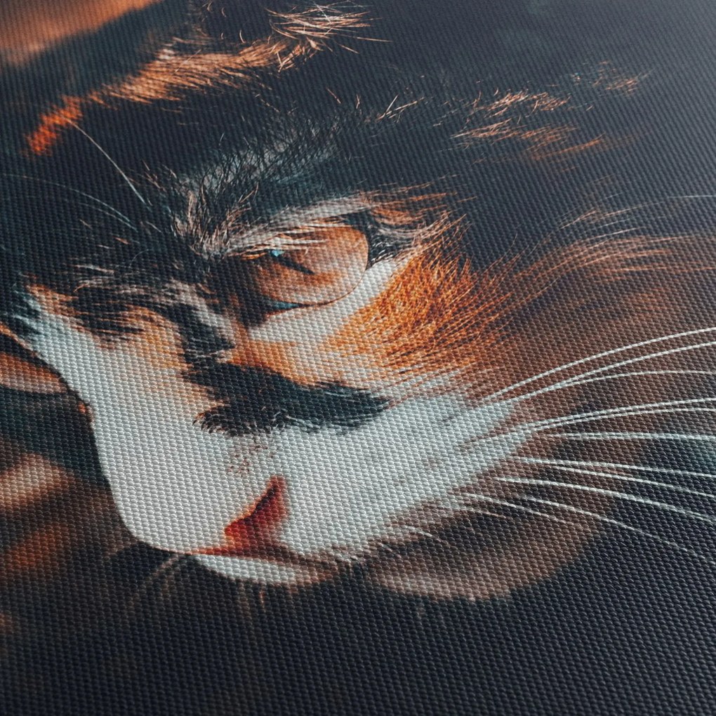 Kép - A macska látképe (90x60 cm)