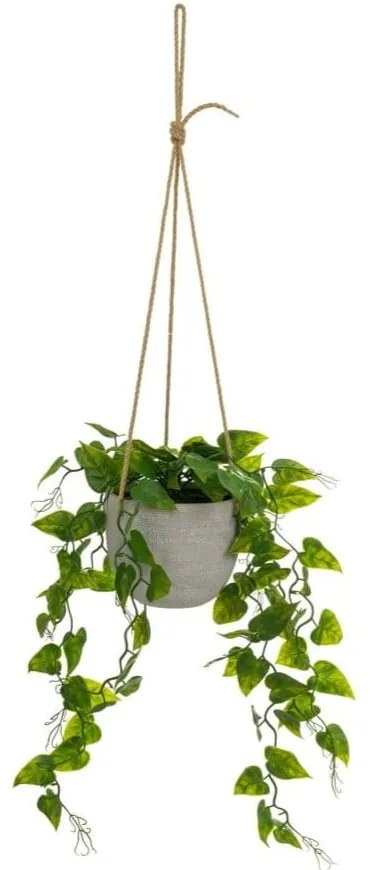 Műnövény (magasság 46 cm) – Casa Selección