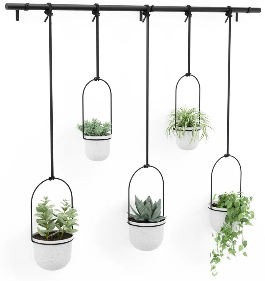 Műanyag függő kaspó szett fűszernövényekhez, 5 db-os ø 7,5 cm Triflora – Umbra