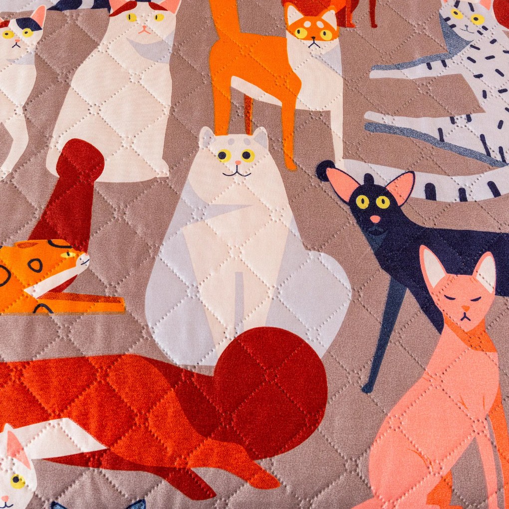 ágytakaró CATMOSPHERE, színes kivitel Méret: 220 x 240 cm