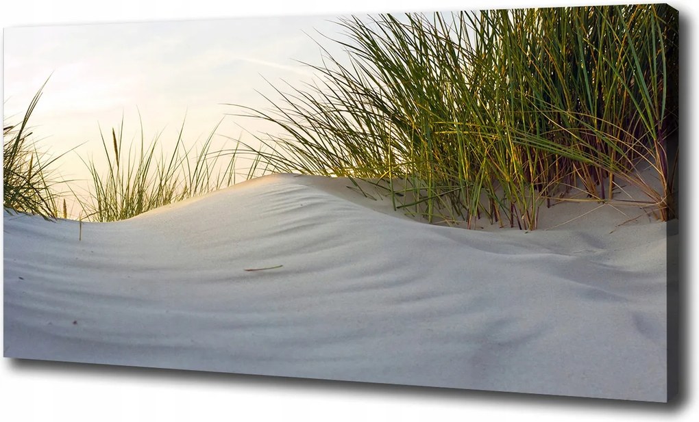 Vászonkép Tengerparti dűnék 100x70 cm