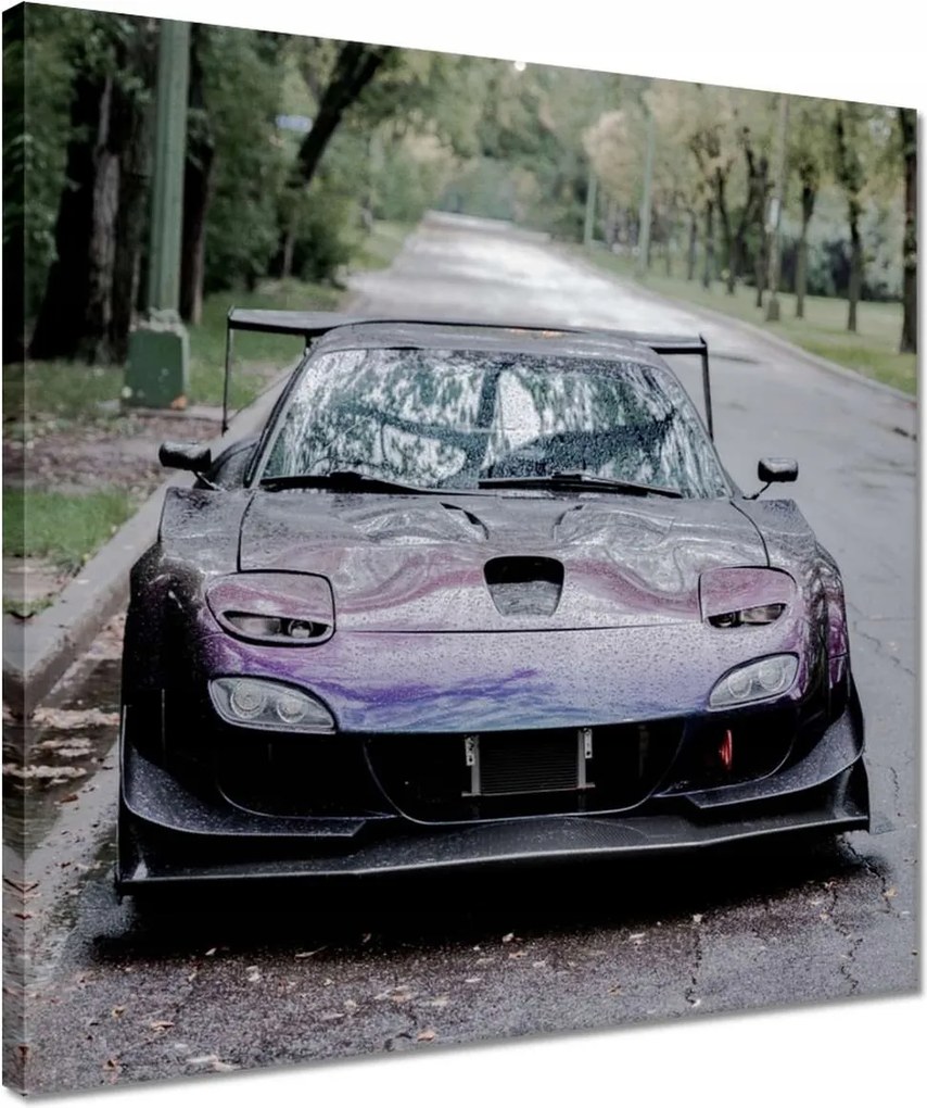 Vászonkép 40x40 Autó Fura Sport
