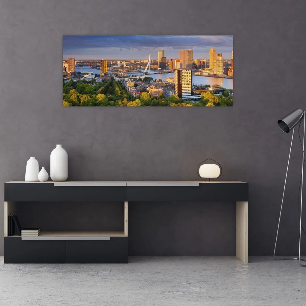 Kép - panoráma Rotterdam, Hollandia (120x50 cm)