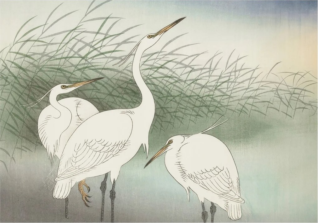 Flizelina fotótapéta Nappaliba és Hálószobába Fűnyírók 208x146