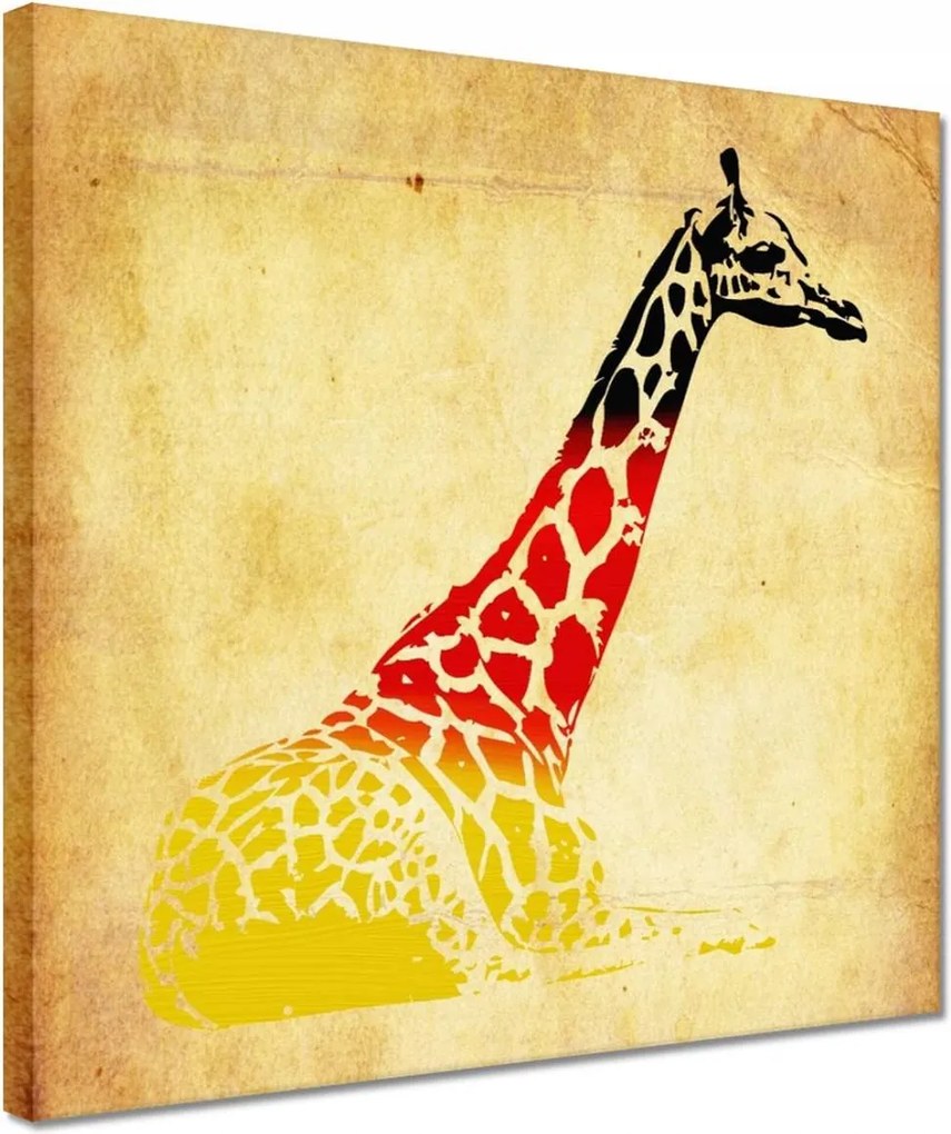 Vászonkép 30x30 Zsiráf