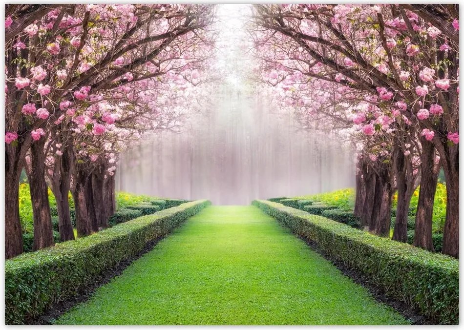 Poszterek A0 Szint Gyönyörű virágok a nappaliba