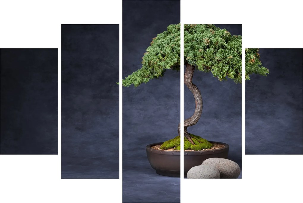 Kép - Bonsai (150x105 cm)