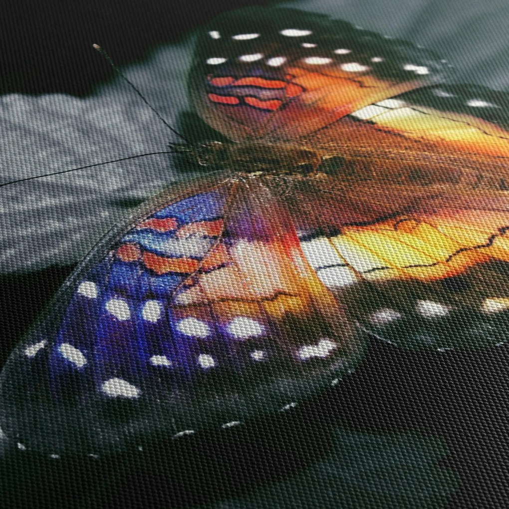 Pillangó képe (120x50 cm)