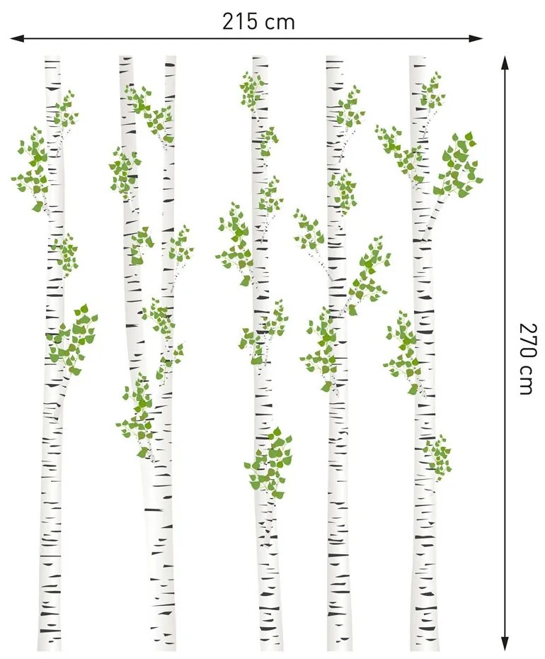 Csodálatos falimatricák - nyírfa 215 x 270 cm