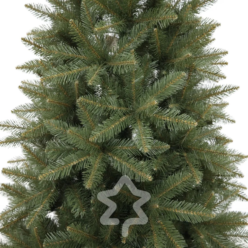 Kaukázusi lucfenyő 2D 150 cm