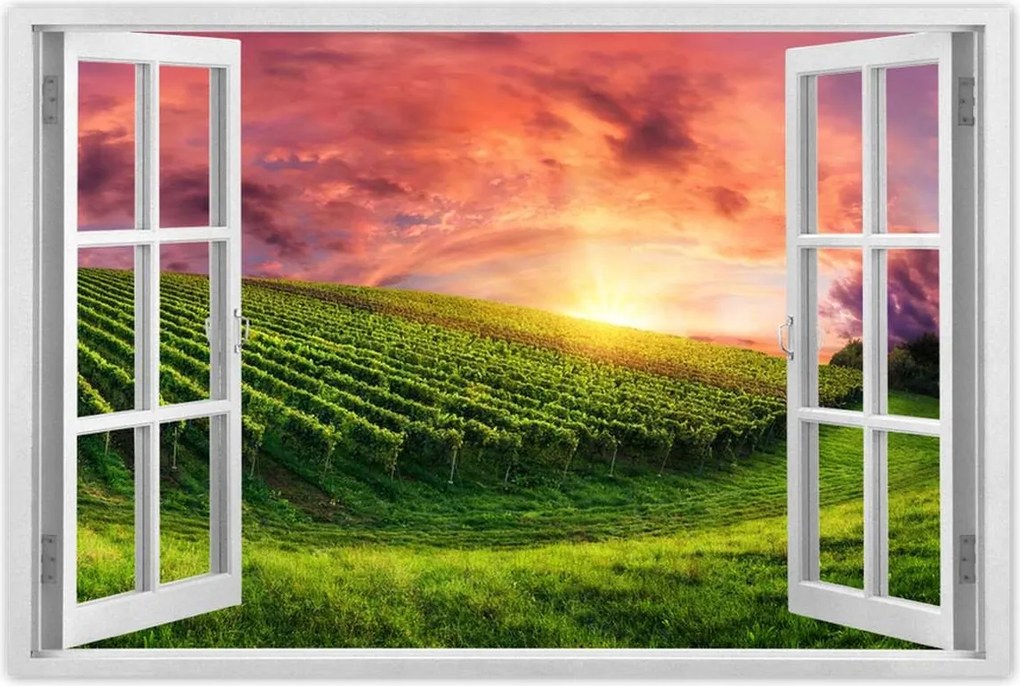 Poszterek 60x40 Szőlőbirtok Tájkép