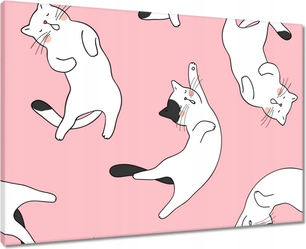 Vászonkép 70x50 Cica Cicák Macskák