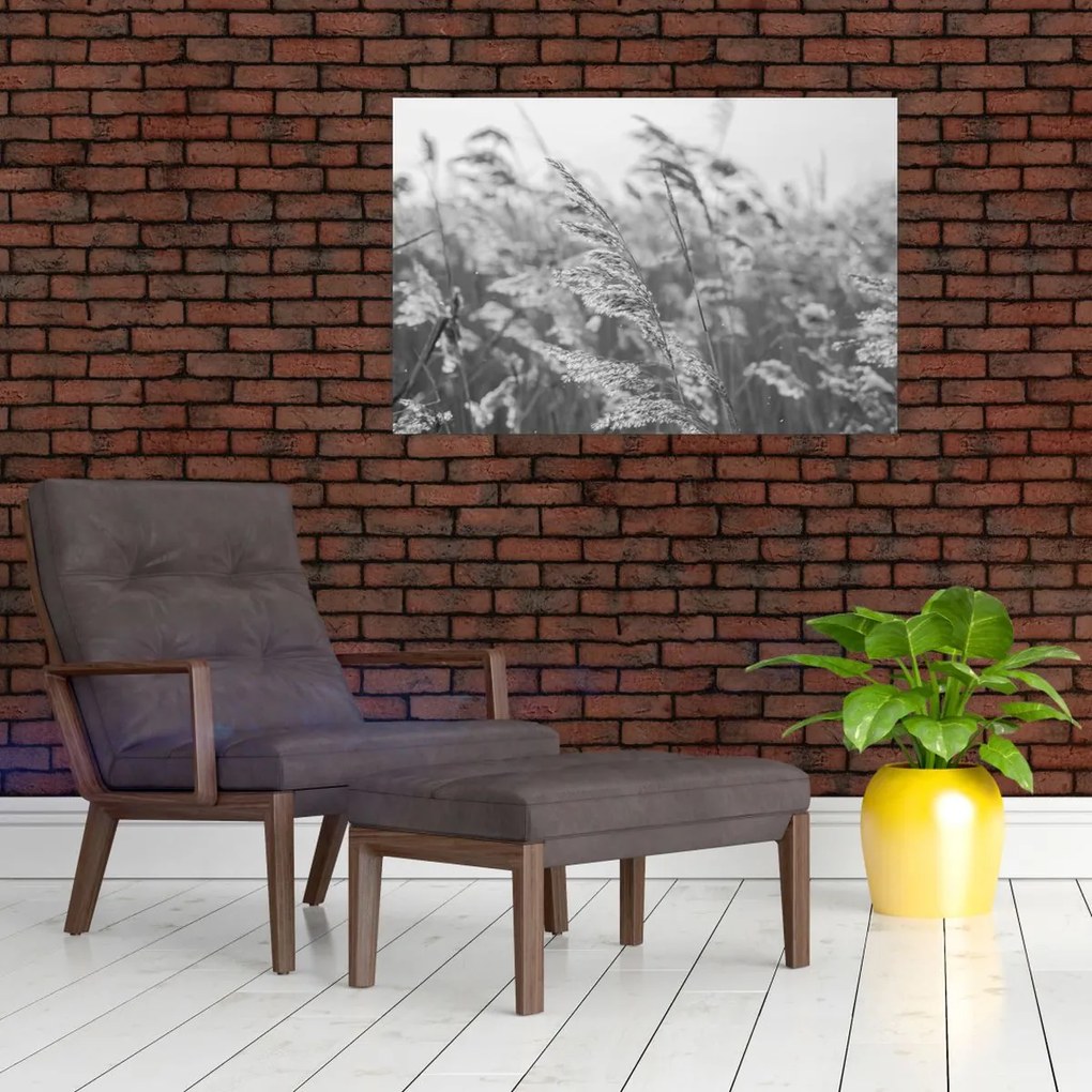 Kép - Fű a szélben (90x60 cm)