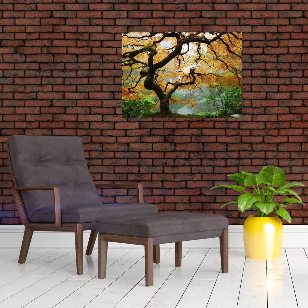 Egy sárga japán juhar képe, Portland, Oregon (üvegen) (70x50 cm)