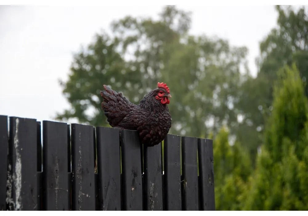 Poligyanta kerti szobor Hen – Esschert Design