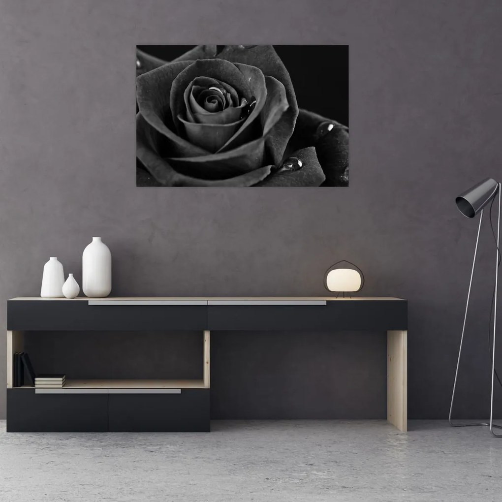 Kép - Bíborvörös rózsa (90x60 cm)