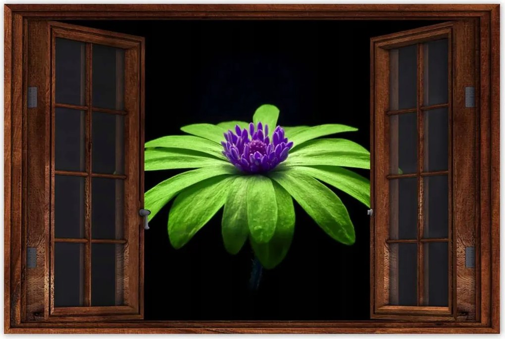 Poszterek 90x60 Lime szirmok